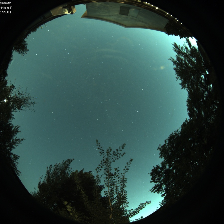 A real frame from an ARIS all-sky camera: stars through the tree canopy on a clear night